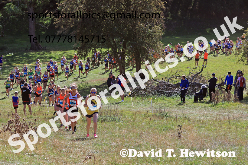 Senior Womens 2026 NEHL, Thornley Hall Farm, Peterlee, County Durham. Photo: David T. Hewitson/Sports for All Pics